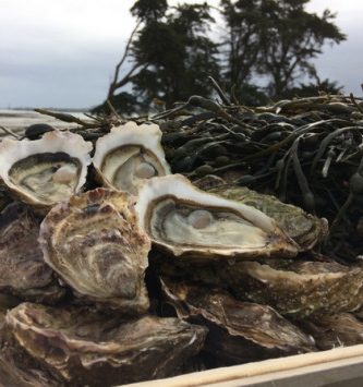Huîtres De Saint-Riom N°2 - Bourriche De 36 Pièces (3 Douzaines)