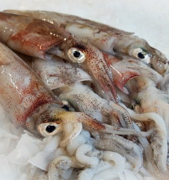 Calamar Entier Lot De 1kg - 50/100gr Par Pièce