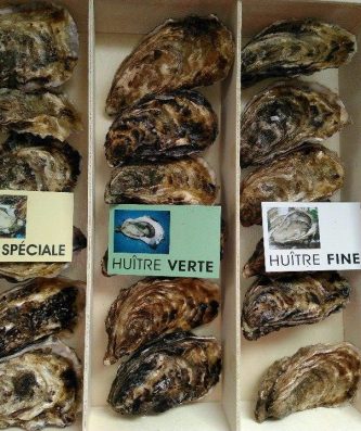 Bourriche dégustation: 6 huîtres fines, 6 spéciales et 6 longues