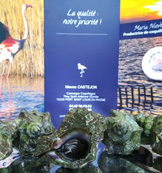 Murex Du Littoral Camarguais 1kg - Pêche Responsable