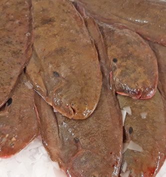 Sole Vidée Lot De 500g (2/300g Par Pièce)