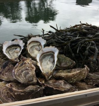 Huîtres De Pleine Mer N°3 - 2x Bourriches De 100 Pièces