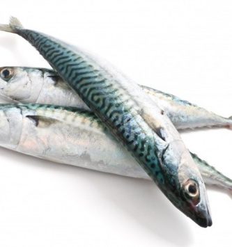 Maquereaux Côtiers - 1kg