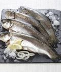 Truite portion, Oncorhynchus mykiss, élevée en France 300 g
