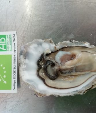 4 douzaines de spéciales de claires Marennes Oléron BIO numéro 3 = 4 kg