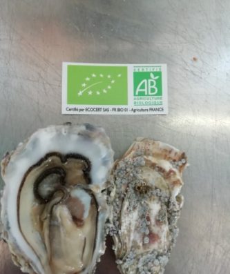 4 douzaines de fines de claires Marennes Oléron BIO numéro 3 = 4 kg