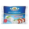 Mozzarella maxi format cylindre pasteurisé CASA AZZURA, 18% de MG, 250g