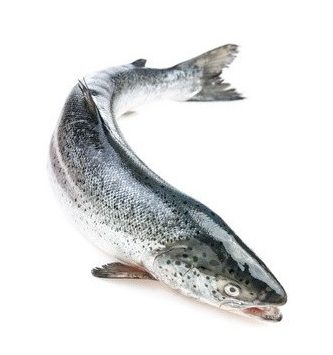 Saumon Entier - Pièce De 5 Kg