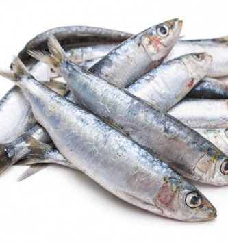 Sardines Bretonnes - 1kg