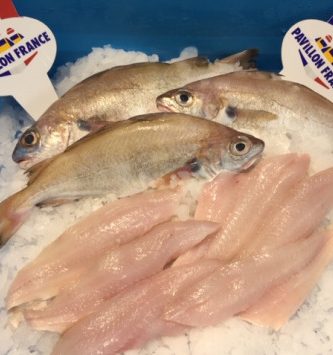 [caisse 2kg] Filets De Tacaud Sans Peau Et Sans Arêtes 40/70gr