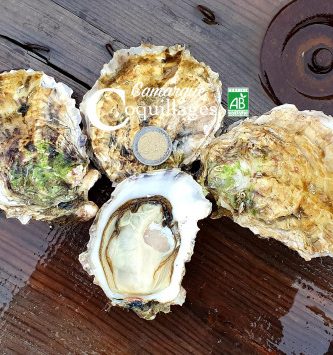 La Perle De Camargue Huîtres Creuses Bio - Grosses À Cuire
