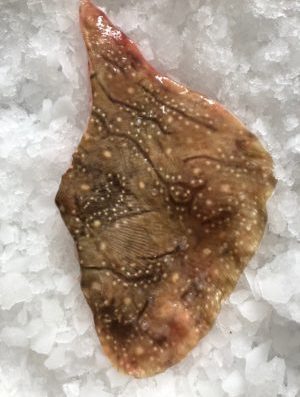 Raie (Aile de raiton portion avec peau)