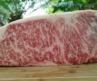 WAGYU 10+ GRADE A5 JAPONAIS