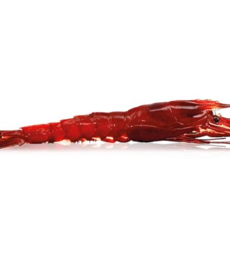 Les Carabineros d'Espagne - 1 kg