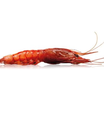 Les Gambero Rosso - 1 kg