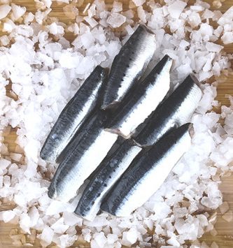 Sardine - filets papillon