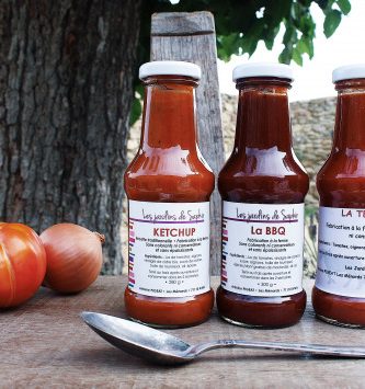 Sauces Pour Grillades: Ketchup, La BBQ Et La Tex Mex.