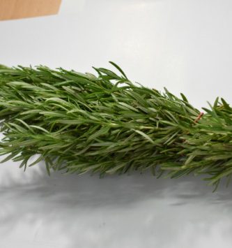 Romarin Frais