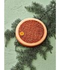 TARTE INFINIMENT PIGNON DE CÈDRE