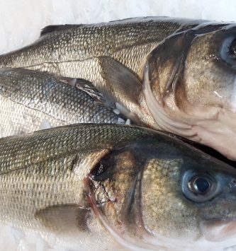 Bar Sauvage Vidé 2kg