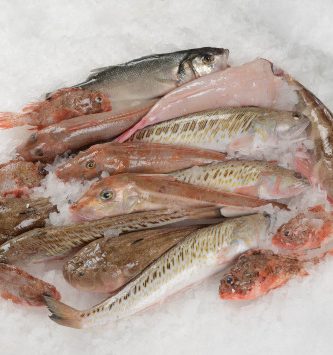 Kit Pour La Bouillabaisse