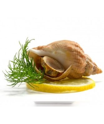 BULOTS VIVANTS - SACHET DE 500G