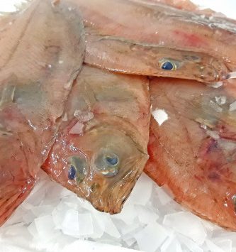 Limande Cardine Lot De 1kg (100gr/300gr Par Pièce)