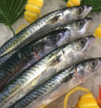 Maquereaux - 500g