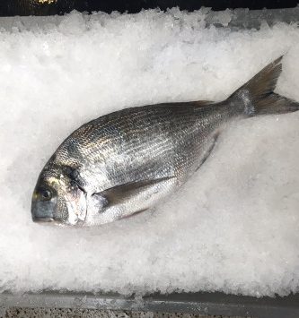 Dorade Royale Sauvage - Pièce de 1,8kg - Vidée