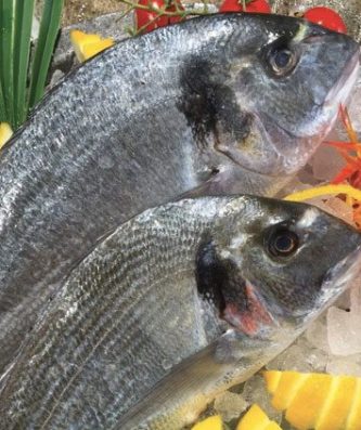 Dorade élevage vidée et écaillée 450/600g