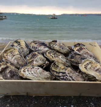 Huîtres de Saint-Riom N°3 - bourriche de 50 pièces