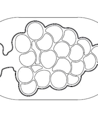 Emporte-pièces grappe de raisin