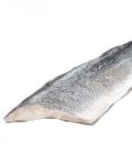 FILET DE BAR LOT DE 1KG