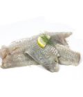 FILET DE LIEU NOIR LOT DE 1KG