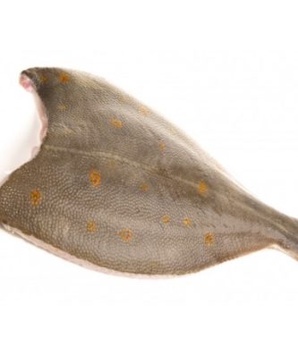 FILET DE PLIE AVEC PEAU - LOT DE 400G