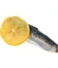FILET DE SARDINE LOT DE 2KG