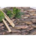 FRITURE DE TRUITE LOT DE 2KG