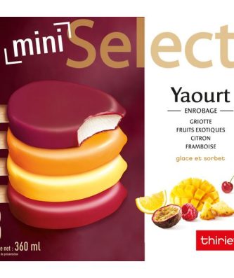 Mini sélect yaourt et fruits assortis