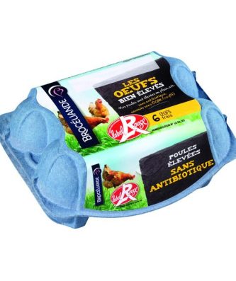 Gros oeufs frais élevés en plein air