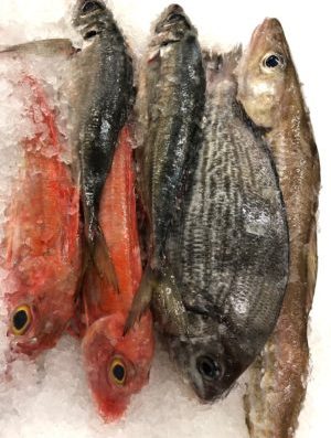 Kit Soupe “La Godaille”