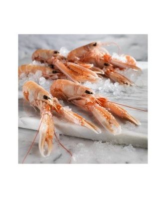 LANGOUSTINES GROSSES CRUES - DÉCONGELÉES - 1KG