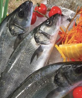 Loup élevage vidé et écaillé 450/600g