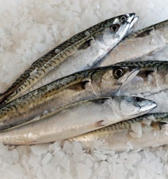 Maquereau Vidé Lot De 1kg - 2/400gr Par Pièce
