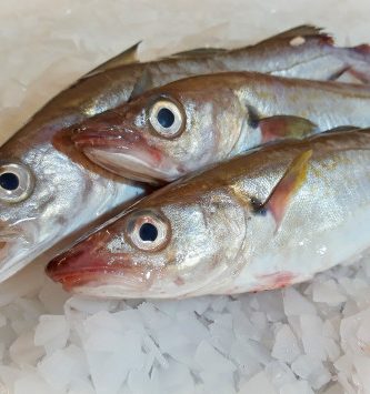 Merlan Vidé Lot De 1kg - 1/300g Par Pièce