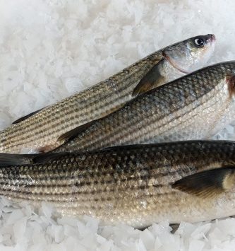 Mulet Noir Vidé 900g