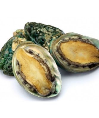 ORMEAUX SAUVAGES VIVANTS - 1KG