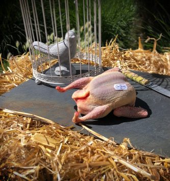 Pigeonneau Prêt à Cuire