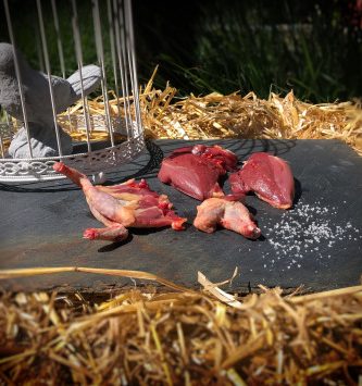 Lot de 10 Pigeonneaux Découpés