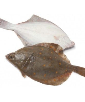 PLIE VIDÉE - LOT DE 1KG