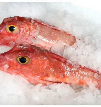 Rouget Grondin Entier - Lot De 1kg